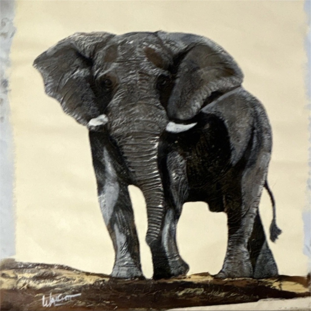 Majestic Gray Elephant Canvas Art